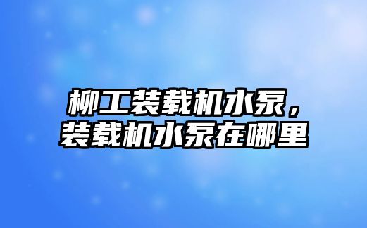 柳工裝載機水泵，裝載機水泵在哪里