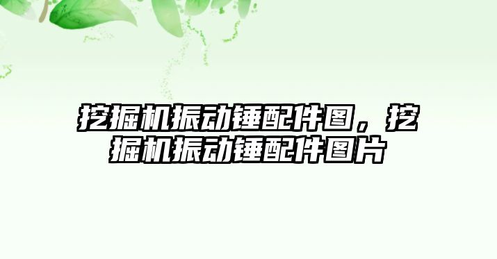 挖掘機振動錘配件圖，挖掘機振動錘配件圖片