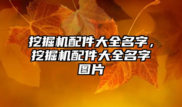 挖掘機配件大全名字，挖掘機配件大全名字圖片