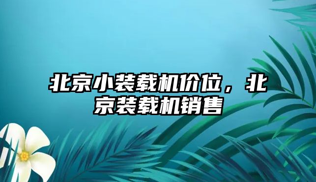 北京小裝載機(jī)價(jià)位，北京裝載機(jī)銷售