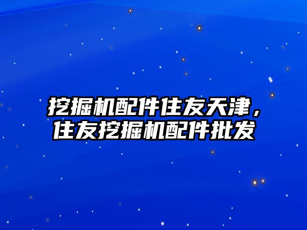 挖掘機配件住友天津，住友挖掘機配件批發(fā)