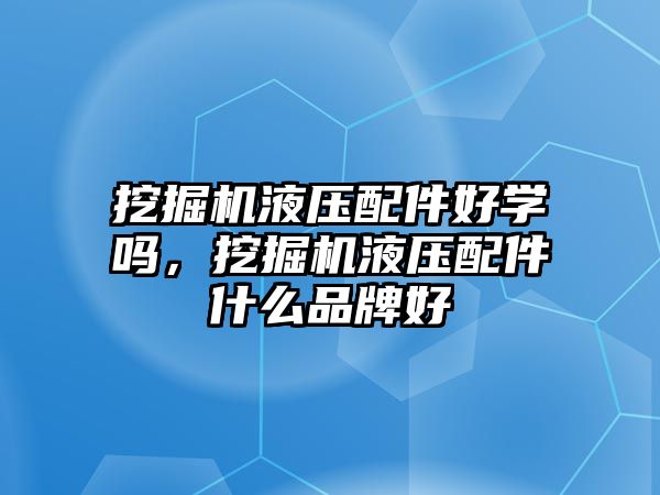 挖掘機液壓配件好學(xué)嗎，挖掘機液壓配件什么品牌好