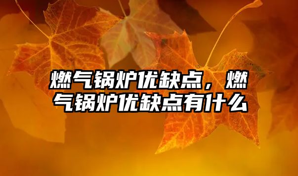 燃?xì)忮仩t優(yōu)缺點，燃?xì)忮仩t優(yōu)缺點有什么