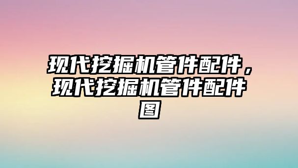 現(xiàn)代挖掘機管件配件，現(xiàn)代挖掘機管件配件圖