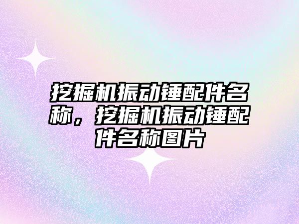 挖掘機振動錘配件名稱，挖掘機振動錘配件名稱圖片