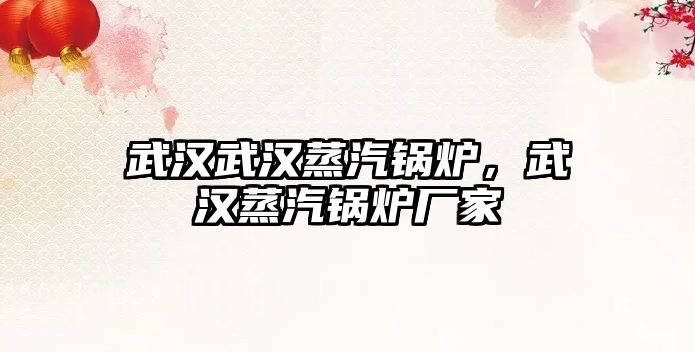 武漢武漢蒸汽鍋爐，武漢蒸汽鍋爐廠家