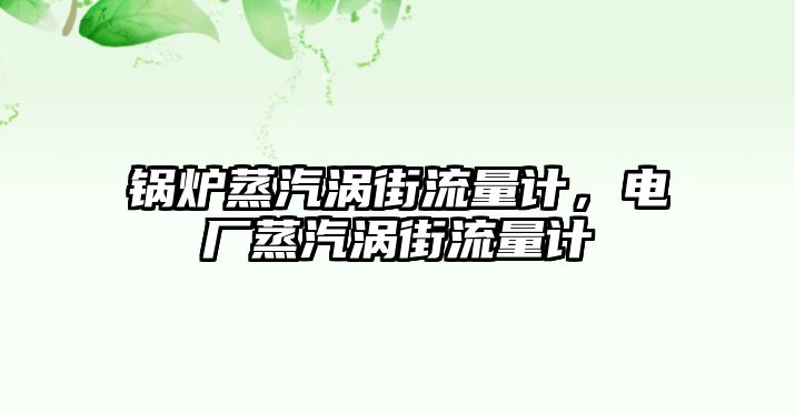 鍋爐蒸汽渦街流量計，電廠蒸汽渦街流量計