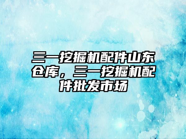 三一挖掘機配件山東倉庫，三一挖掘機配件批發(fā)市場