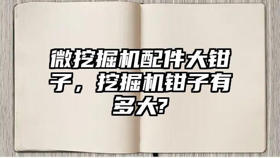 微挖掘機配件大鉗子，挖掘機鉗子有多大?