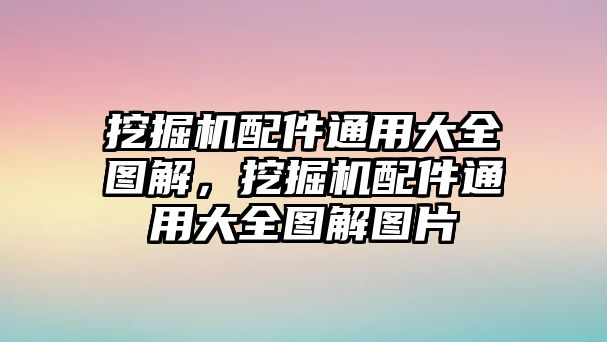 挖掘機配件通用大全圖解，挖掘機配件通用大全圖解圖片