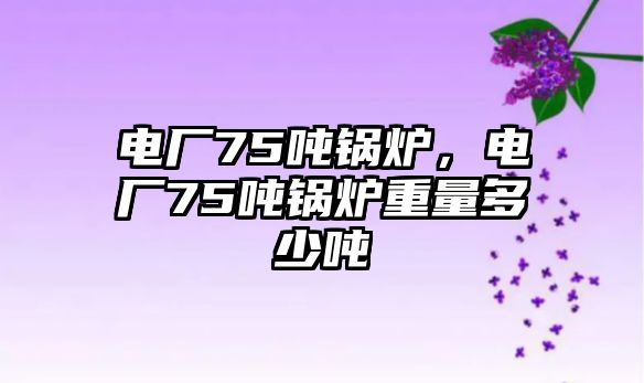 電廠75噸鍋爐，電廠75噸鍋爐重量多少噸