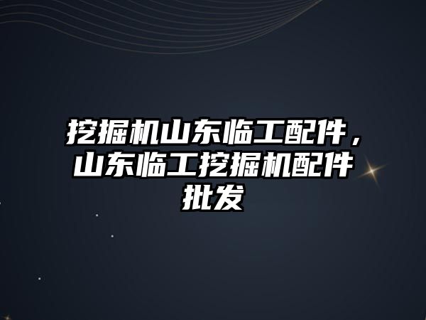 挖掘機山東臨工配件，山東臨工挖掘機配件批發(fā)