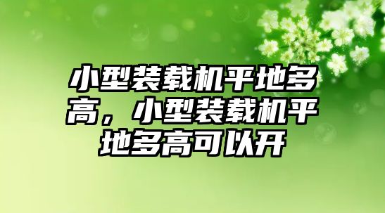 小型裝載機平地多高，小型裝載機平地多高可以開