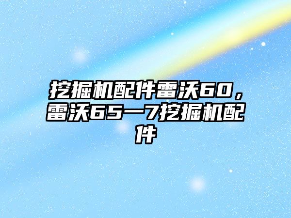 挖掘機(jī)配件雷沃60，雷沃65一7挖掘機(jī)配件