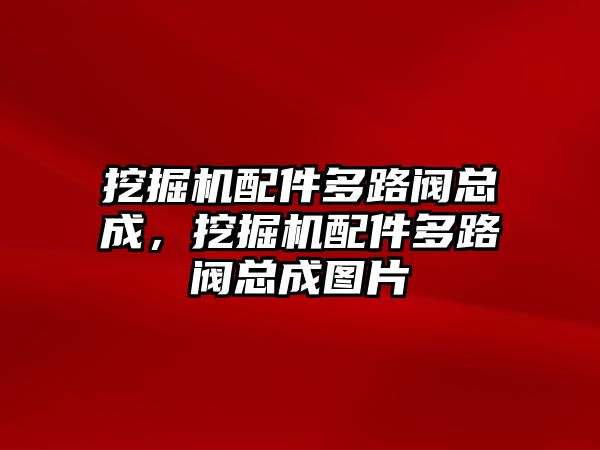 挖掘機配件多路閥總成，挖掘機配件多路閥總成圖片