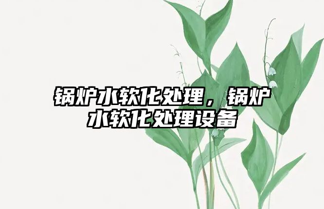 鍋爐水軟化處理，鍋爐水軟化處理設(shè)備