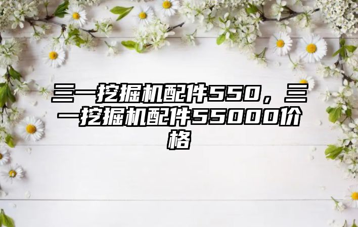 三一挖掘機(jī)配件550，三一挖掘機(jī)配件55000價格