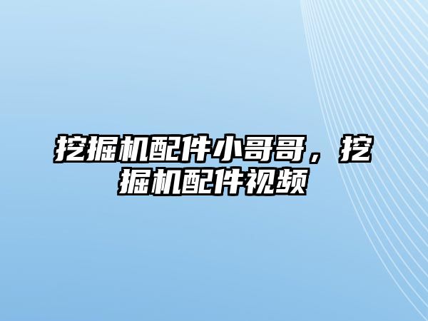 挖掘機配件小哥哥，挖掘機配件視頻