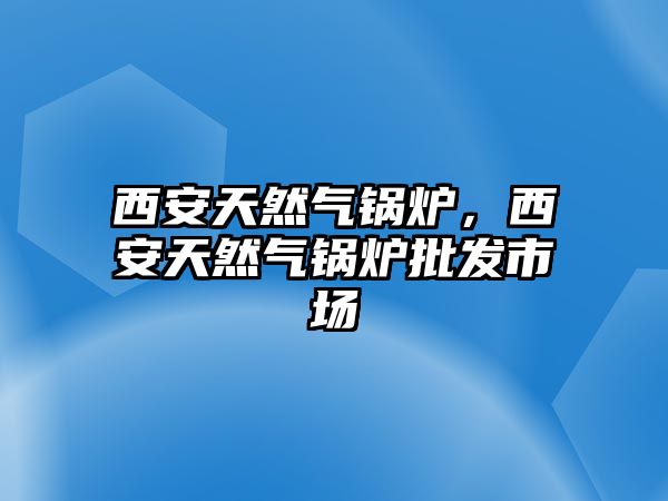 西安天然氣鍋爐，西安天然氣鍋爐批發(fā)市場(chǎng)