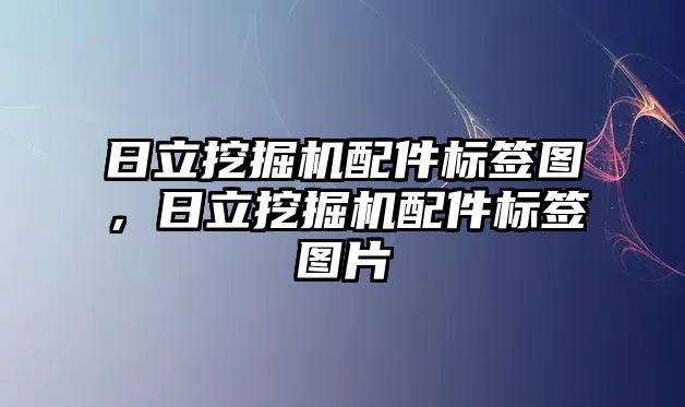 日立挖掘機配件標簽圖，日立挖掘機配件標簽圖片