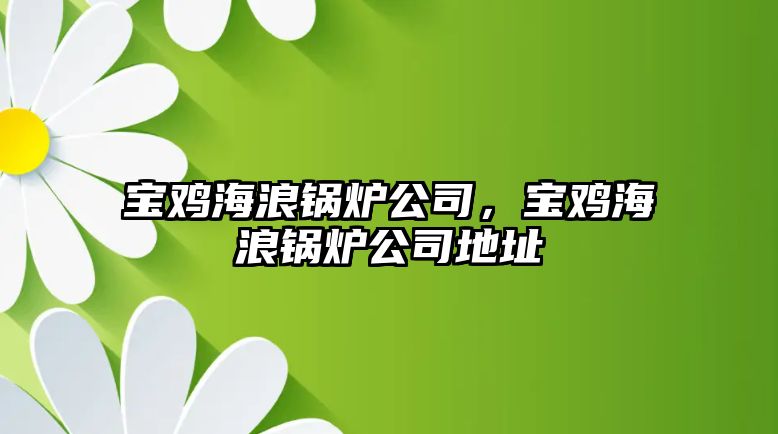 寶雞海浪鍋爐公司，寶雞海浪鍋爐公司地址