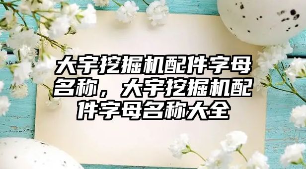 大宇挖掘機配件字母名稱，大宇挖掘機配件字母名稱大全