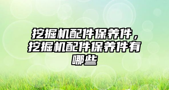 挖掘機配件保養(yǎng)件，挖掘機配件保養(yǎng)件有哪些