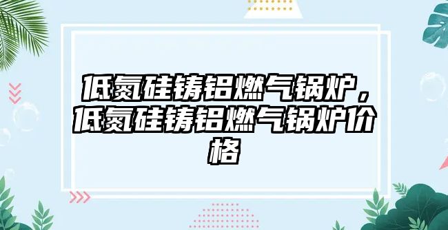 低氮硅鑄鋁燃氣鍋爐，低氮硅鑄鋁燃氣鍋爐價格