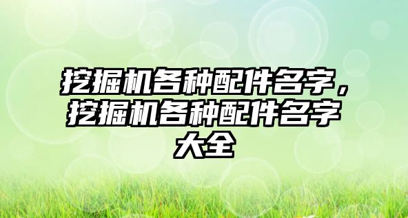 挖掘機各種配件名字，挖掘機各種配件名字大全