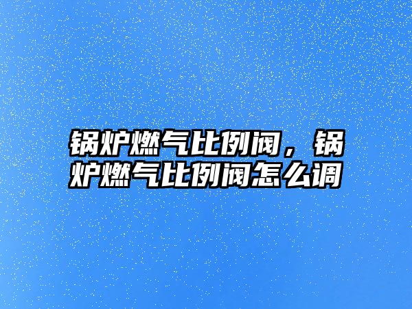 鍋爐燃氣比例閥，鍋爐燃氣比例閥怎么調