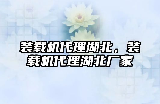 裝載機代理湖北，裝載機代理湖北廠家