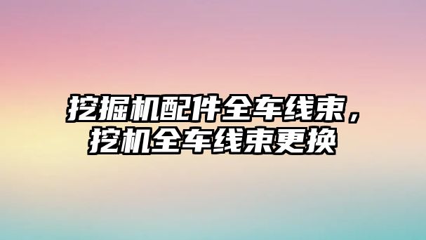 挖掘機配件全車線束，挖機全車線束更換