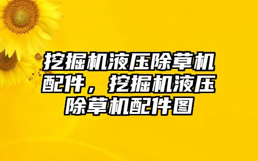 挖掘機液壓除草機配件，挖掘機液壓除草機配件圖