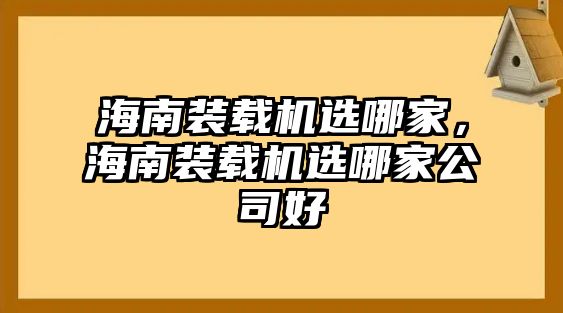 海南裝載機選哪家，海南裝載機選哪家公司好