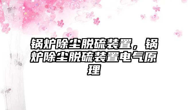 鍋爐除塵脫硫裝置，鍋爐除塵脫硫裝置電氣原理