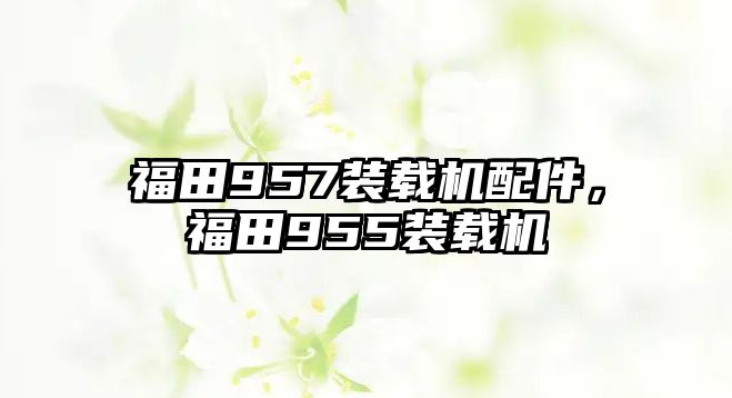 福田957裝載機配件，福田955裝載機