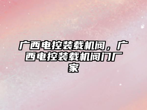 廣西電控裝載機閥，廣西電控裝載機閥門廠家