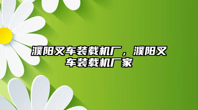 濮陽叉車裝載機廠，濮陽叉車裝載機廠家