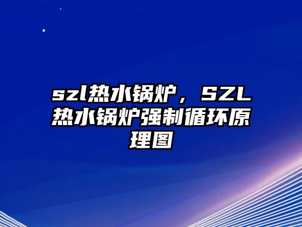 szl熱水鍋爐，SZL熱水鍋爐強(qiáng)制循環(huán)原理圖