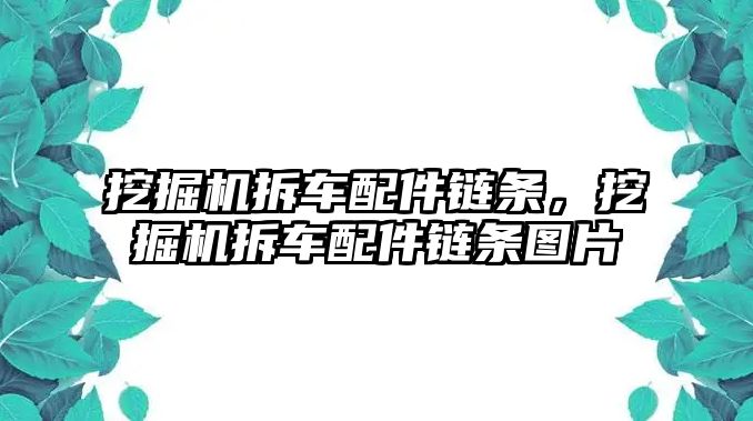 挖掘機拆車配件鏈條，挖掘機拆車配件鏈條圖片