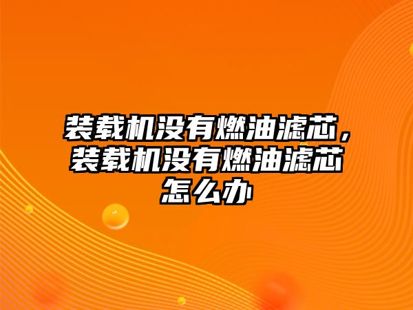 裝載機沒有燃油濾芯，裝載機沒有燃油濾芯怎么辦