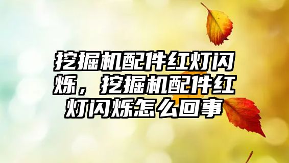 挖掘機配件紅燈閃爍，挖掘機配件紅燈閃爍怎么回事