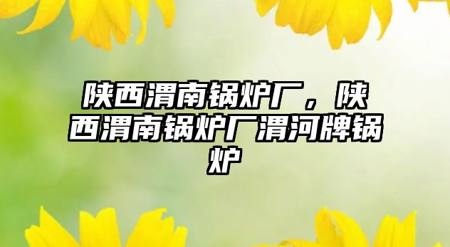 陜西渭南鍋爐廠，陜西渭南鍋爐廠渭河牌鍋爐