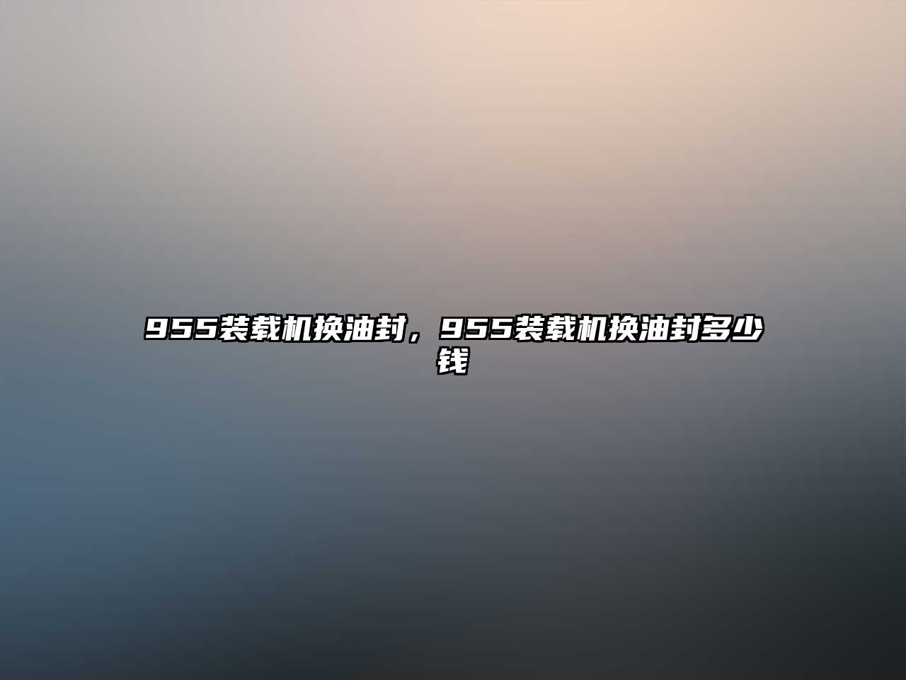 955裝載機(jī)換油封，955裝載機(jī)換油封多少錢