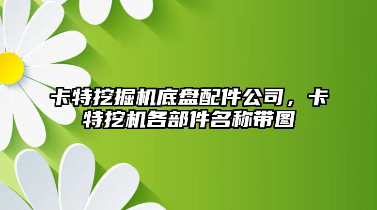 卡特挖掘機底盤配件公司，卡特挖機各部件名稱帶圖