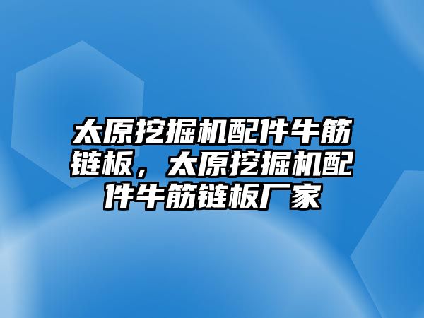 太原挖掘機配件牛筋鏈板，太原挖掘機配件牛筋鏈板廠家