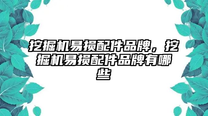 挖掘機(jī)易損配件品牌，挖掘機(jī)易損配件品牌有哪些