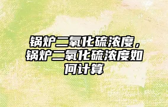 鍋爐二氧化硫濃度，鍋爐二氧化硫濃度如何計算