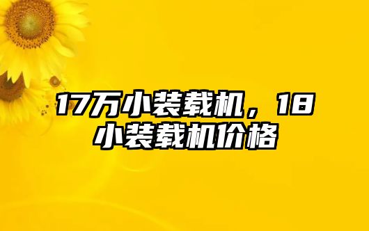 17萬小裝載機，18小裝載機價格