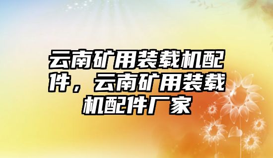 云南礦用裝載機配件，云南礦用裝載機配件廠家